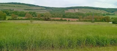 Image du modèle de maison 1000014019