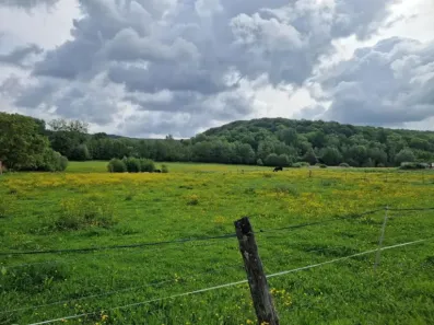 Image du modèle de maison Terrain Barisis aux bois