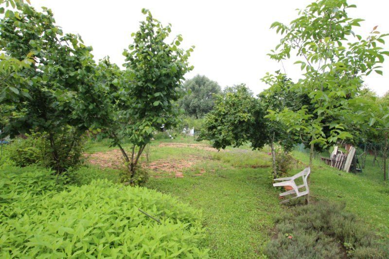 Image du modèle de maison rg_nobn (1)
