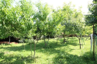 Image du modèle de maison rg_nobn