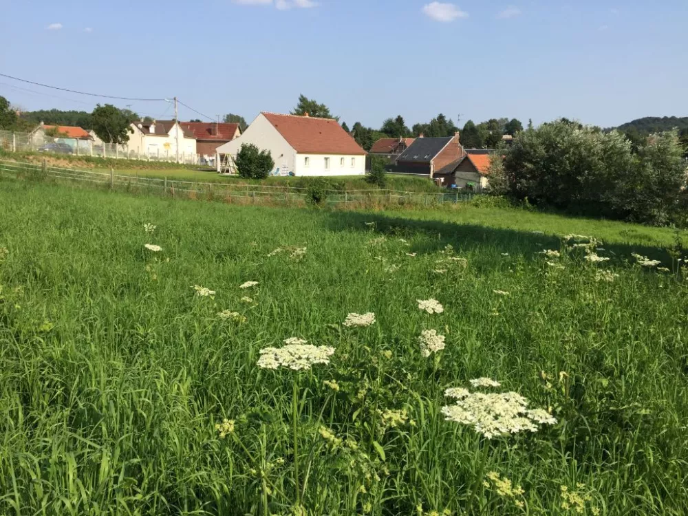 Image du modèle de maison PROPRIETES-PRIVEES-276744FHN-3