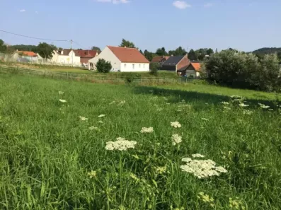 Image du modèle de maison PROPRIETES-PRIVEES-276744FHN-3