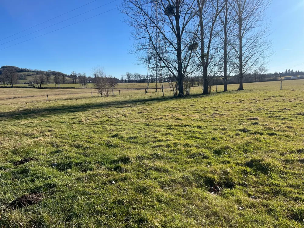 Image du terrain Terrain à bâtir de 359 m² à NAUCELLES (15)
