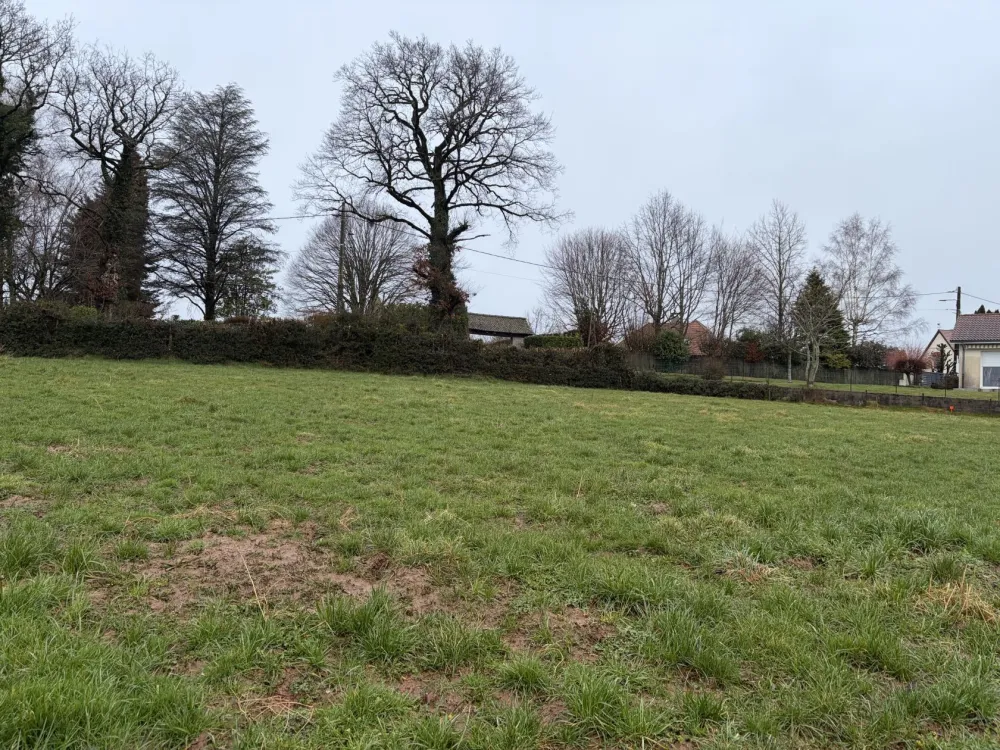 Image du modèle de maison IMG_2500