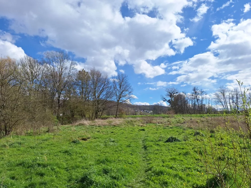 Image du modèle de maison 2024-03-28 14.49.16