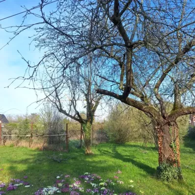 Image du modèle de maison 2024-03-19 16.29.16