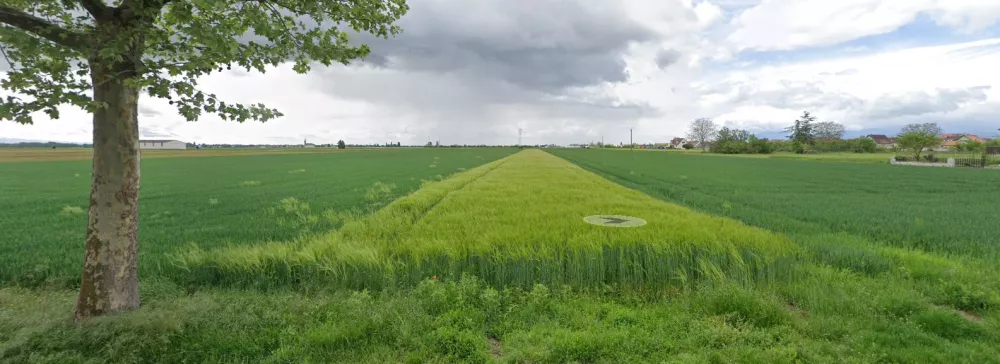 Image du modèle de maison Capture STE CROIX EN PLAINE 2