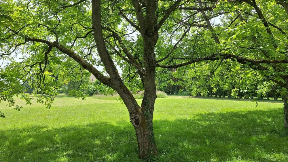 Image du modèle de maison JYabvaqm