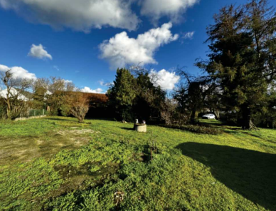 Image du terrain Terrain à bâtir de 1300 m² à LAMOTTE-BEUVRON (41)