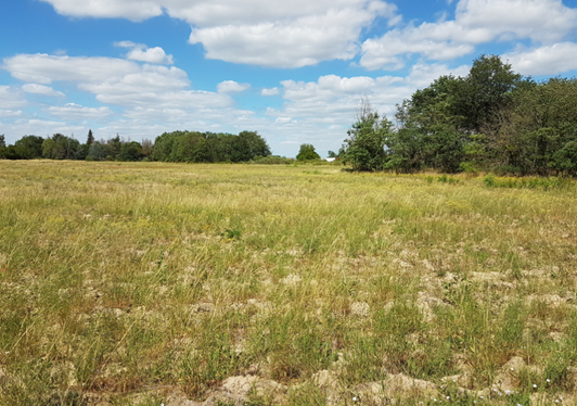 Image du terrain Terrain à bâtir de 420 m² à VIENNE-EN-VAL (45)