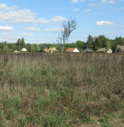 Image du modèle de maison Terrain de 3032m²