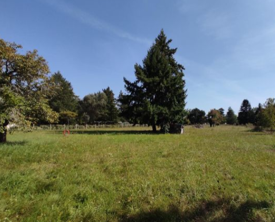 Image du modèle de maison La Ferté Beauharnais