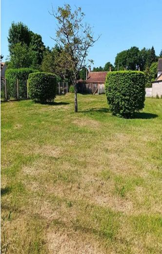 Image du terrain Terrain à bâtir de 601 m² à SENNELY (45)