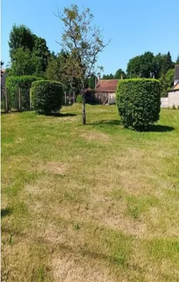 Image du modèle de maison Durand Montouché 601m²