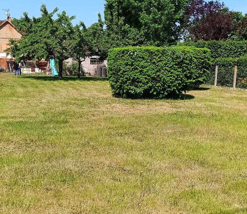Image du terrain Terrain à bâtir de 527 m² à SENNELY (45)