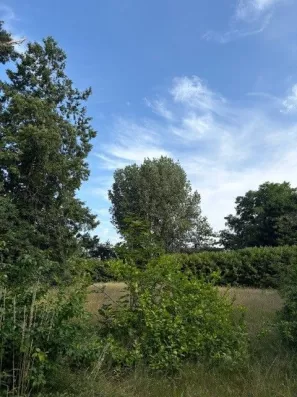 Image du modèle de maison 3