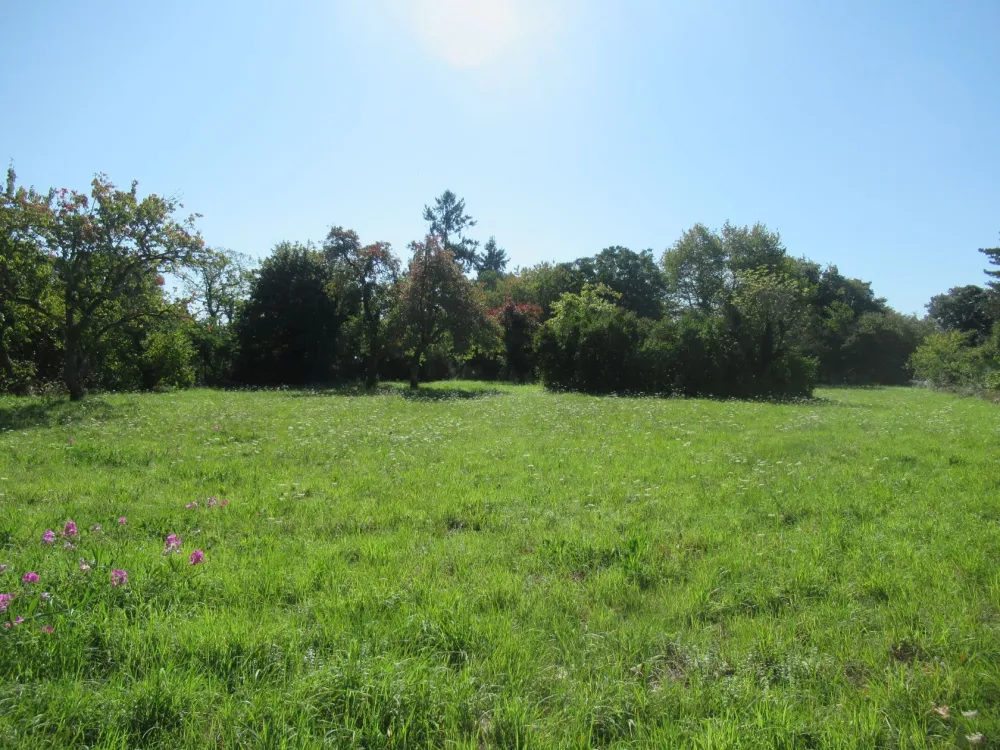 Image du modèle de maison Rue de la croix saint Marc Vouzon