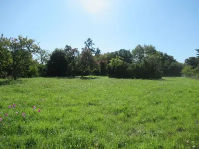 Image du modèle de maison Rue de la croix saint Marc Vouzon
