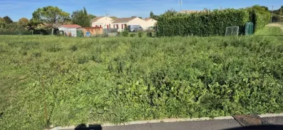 Image du modèle de maison 1000026651