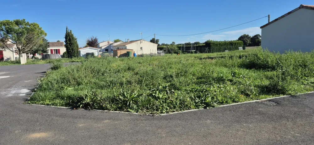 Image du modèle de maison 1000026655 (1)