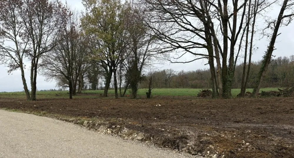 Image du terrain Terrain à bâtir de 1055 m2 au prix de 36000 € à TESSON.