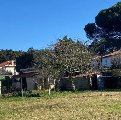Image du modèle de maison PHOTO 2
