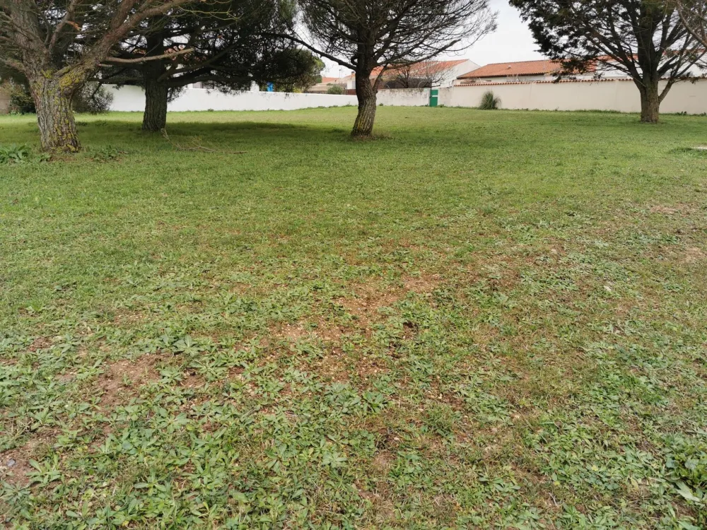 Image du modèle de maison IMG_20210105_150728