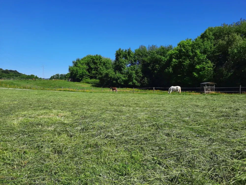 Image du modèle de maison Bavilliers