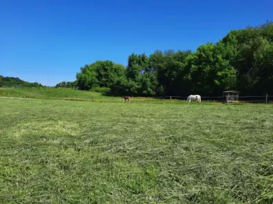 Image du modèle de maison Bavilliers