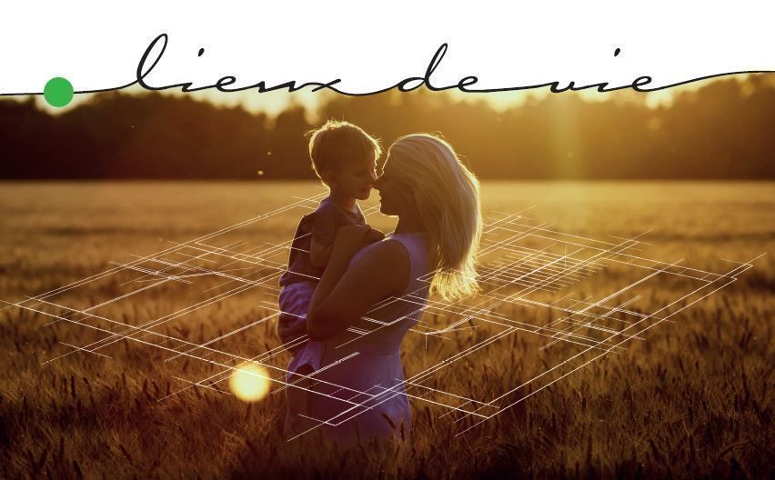 Image du modèle de maison 2086903