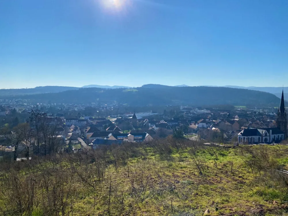 Image du terrain Terrain de 531 m² à MUTZIG (BAS-RHIN)