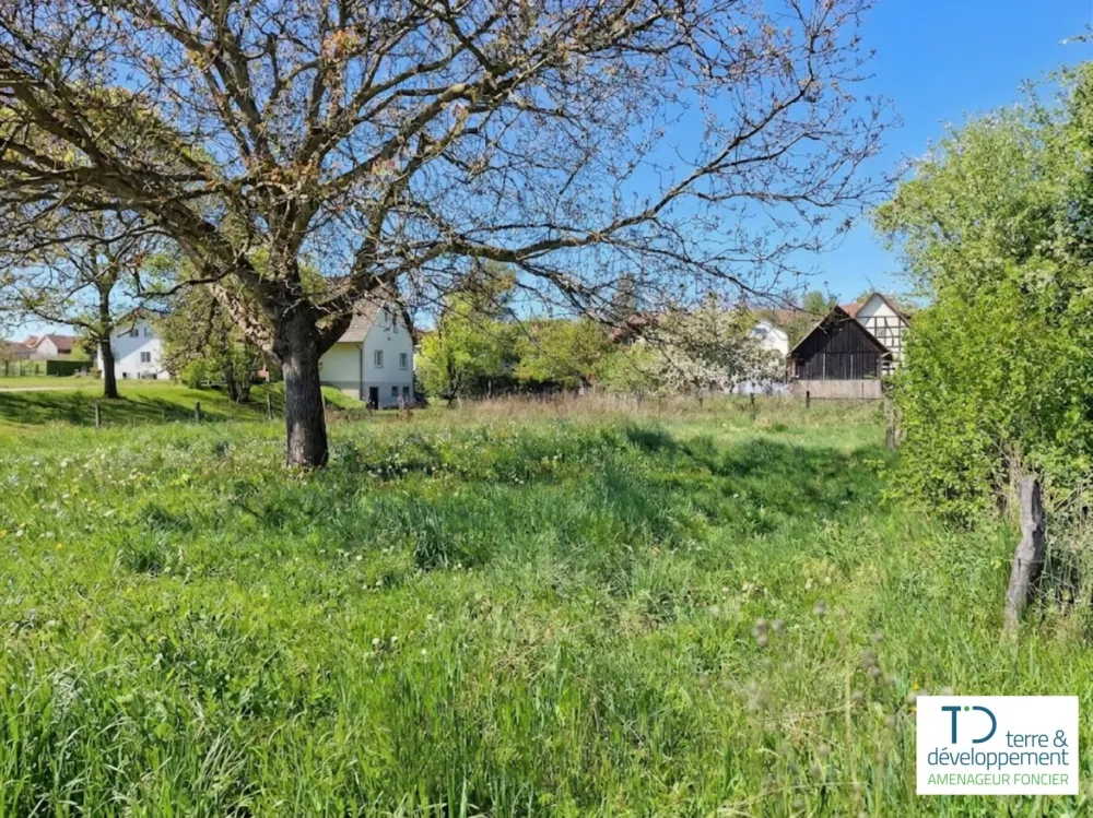 Image du modèle de maison 2