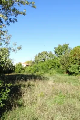 Image du modèle de maison DSC00723