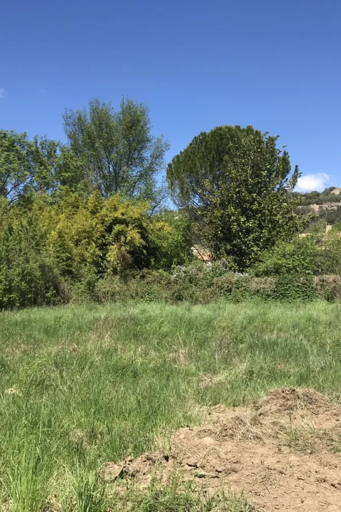 Image du modèle de maison IMG-5798