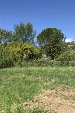 Image du modèle de maison IMG-5798