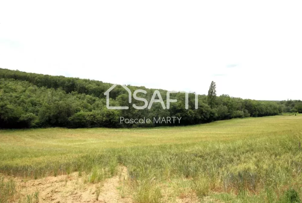 Image du modèle de maison lt-12263-SAFTI-1188_0.webp