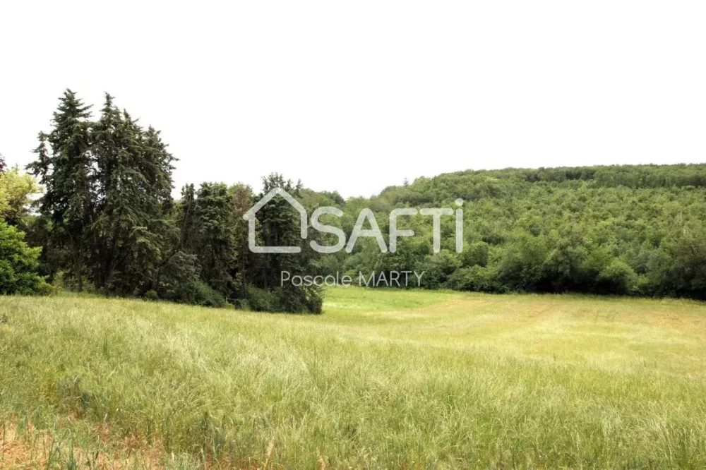 Image du modèle de maison lt-12263-SAFTI-1188_1.webp