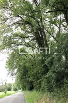 Image du modèle de maison lt-12263-SAFTI-1188_2.webp