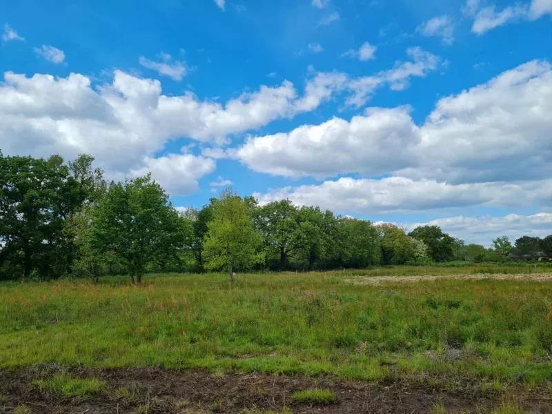 Image du modèle de maison lt-33874-ANGELOTTI AMENAGEMENT-571_0.webp