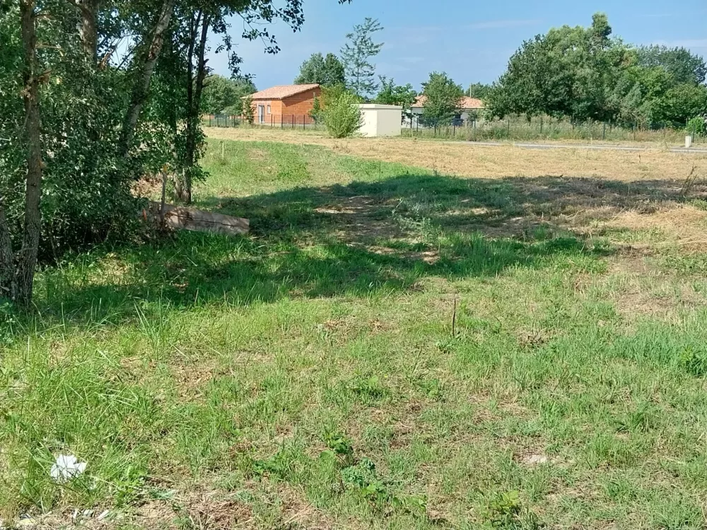 Image du modèle de maison 6