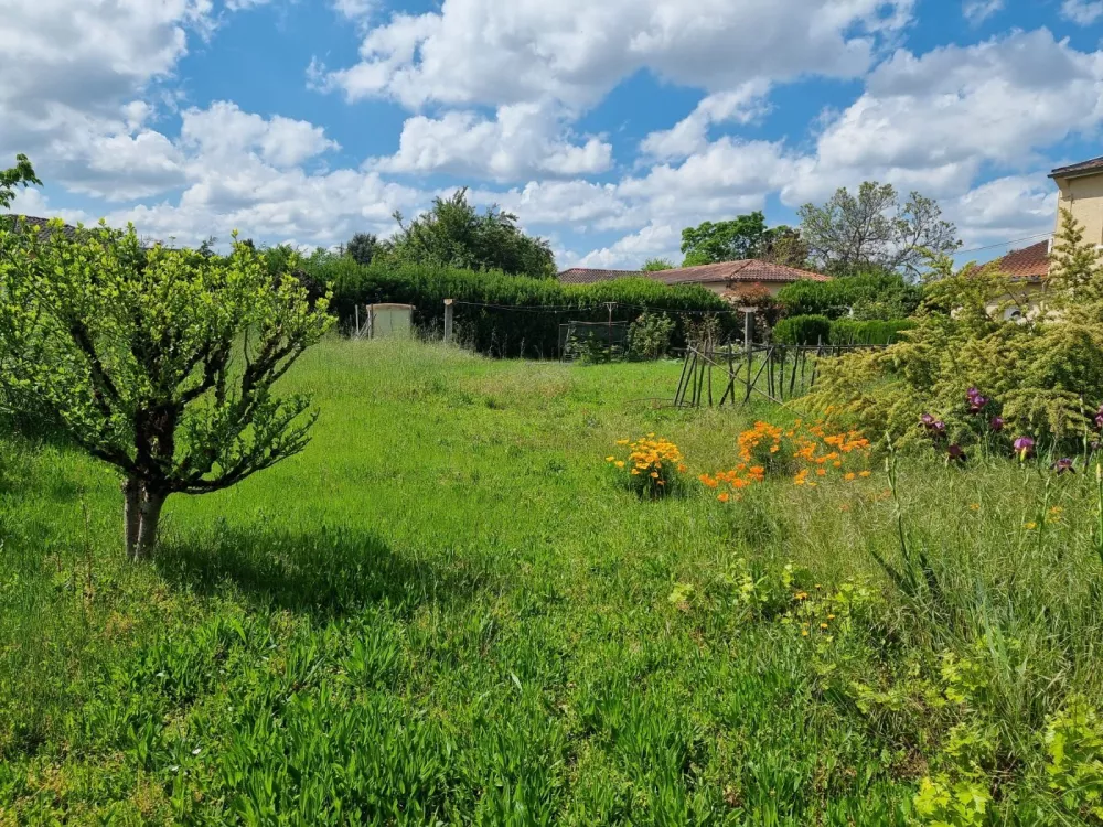 Image du modèle de maison IMG-20250429-WA0013
