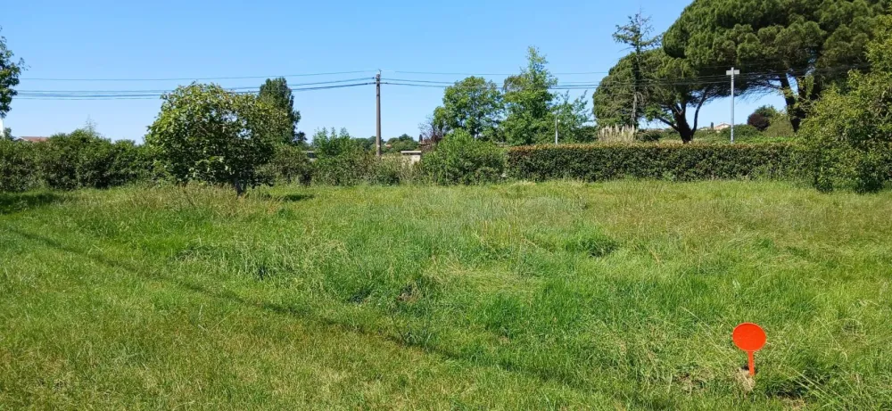 Image du modèle de maison 2c156d66-f6bc-4863-87e1-0e3ed2a26803