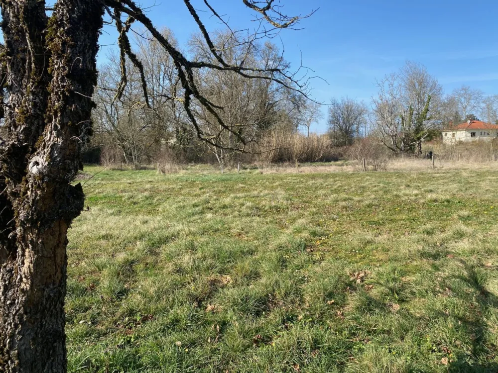 Image du modèle de maison photo 2