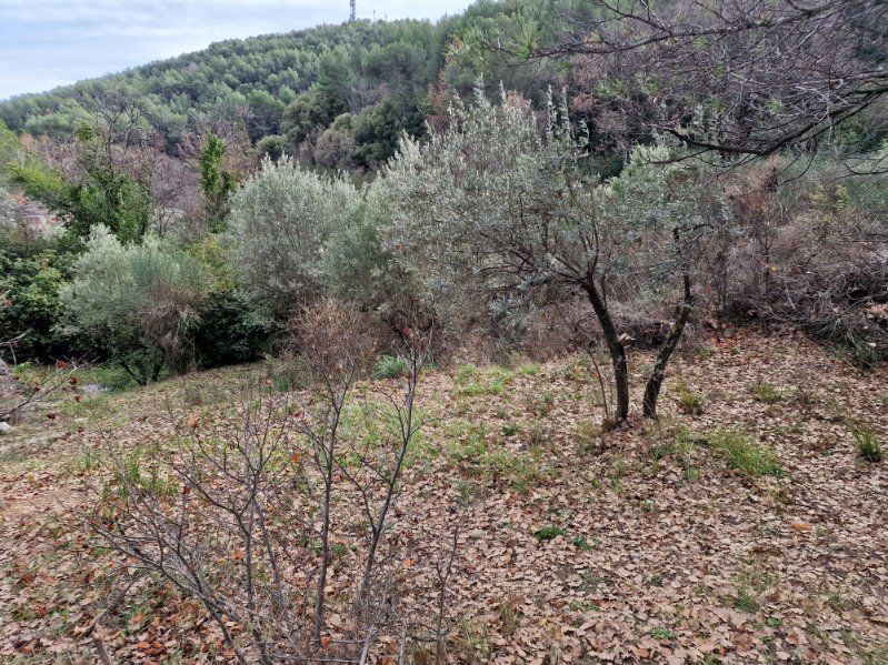 Image du modèle de maison LOT B1