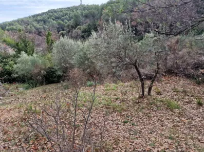 Image du modèle de maison LOT B1