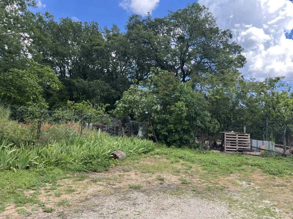 Image du modèle de maison IMG_2211