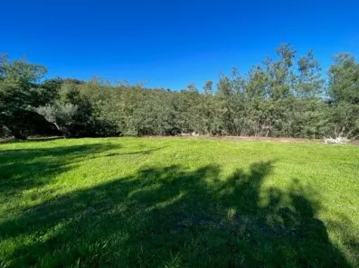 Image du modèle de maison vue  BIS