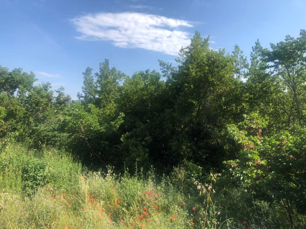 Image du terrain Terrain à bâtir de 869 m² à DRAGUIGNAN (83)