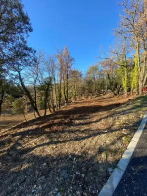 Image du modèle de maison IMG-20240902-WA0006