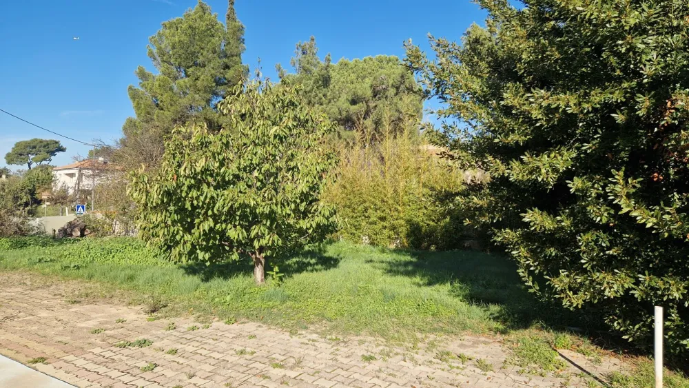 Image du modèle de maison 1000016864